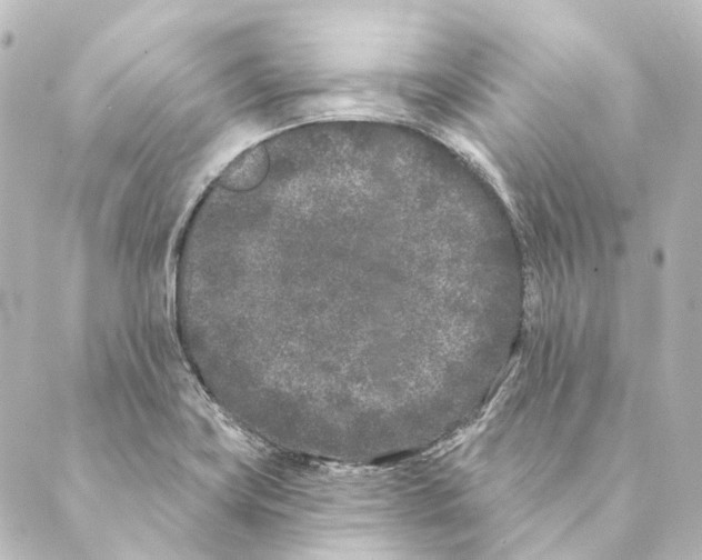 X0000088571419200706221240