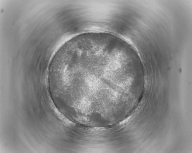 X0000088571421200706221240