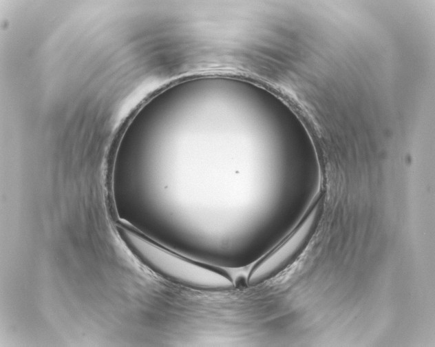 X0000088571422200706221240