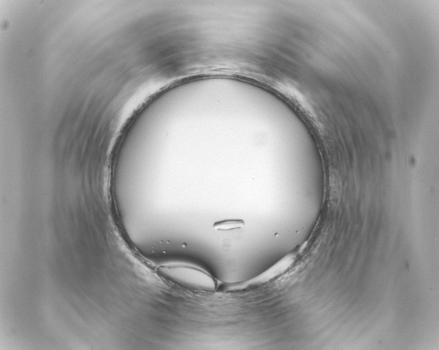 X0000088571424200706221240