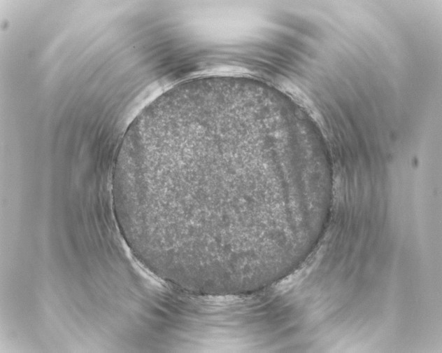 X0000088571425200706221240