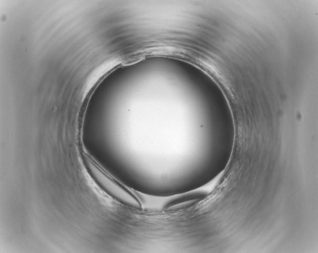 X0000088571426200706221240