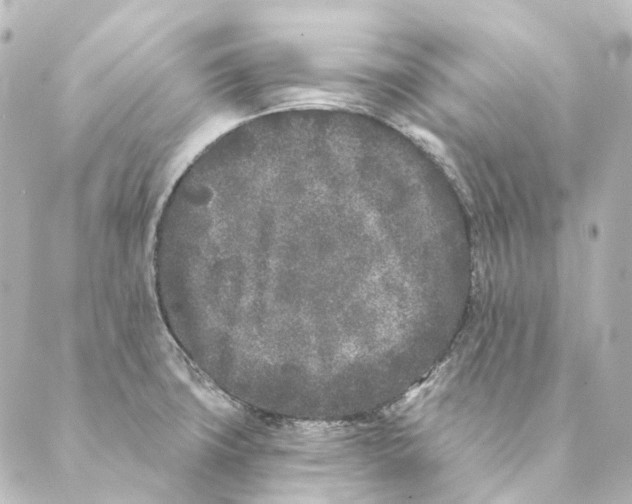 X0000088571427200706221240