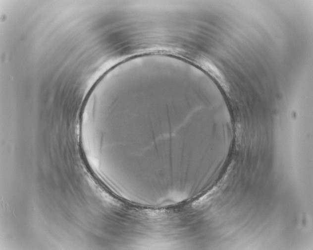 X0000088571428200706221240