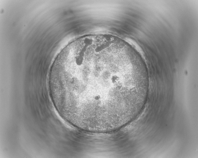 X0000088571429200706221240