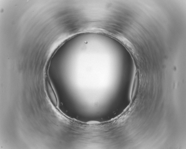 X0000088571430200706221240