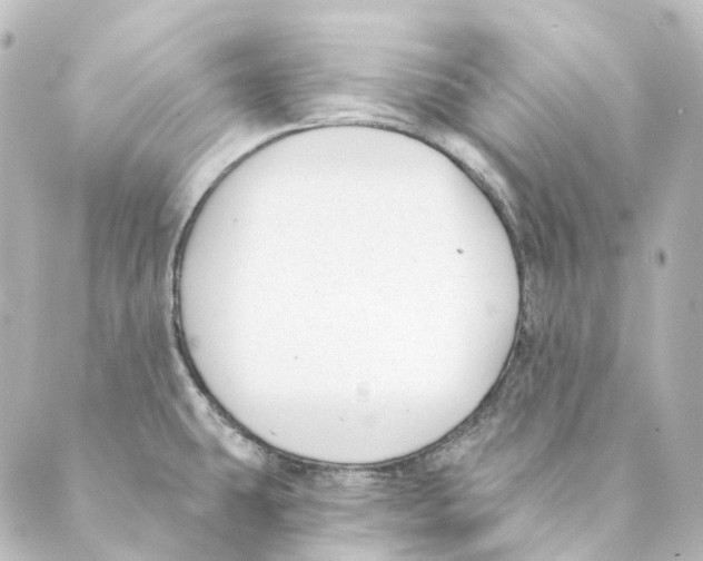 X0000088571431200706221240