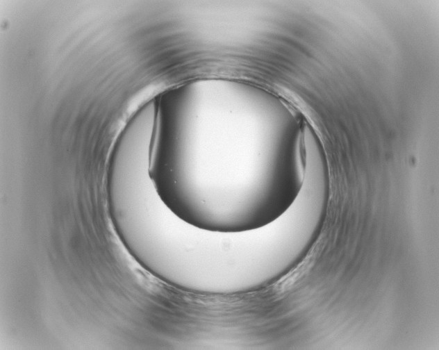 X0000088571434200706221240