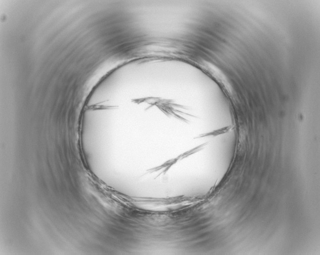 X0000088571435200706221240