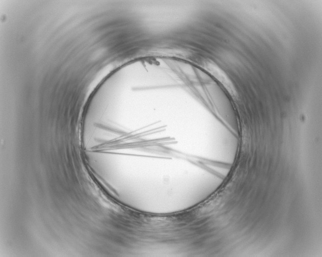 X0000088571436200706221240