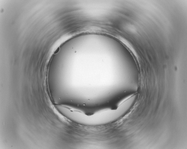 X0000088571437200706221240