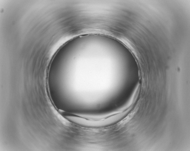 X0000088571438200706221240