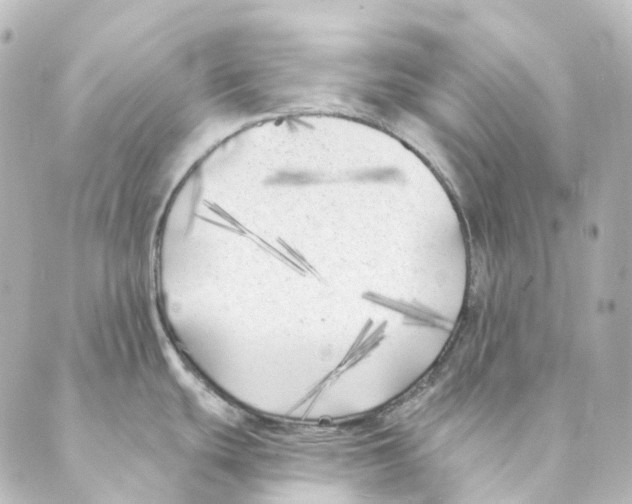 X0000088571439200706221240