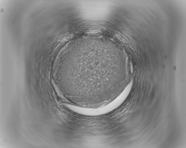 X0000088571441200706221240