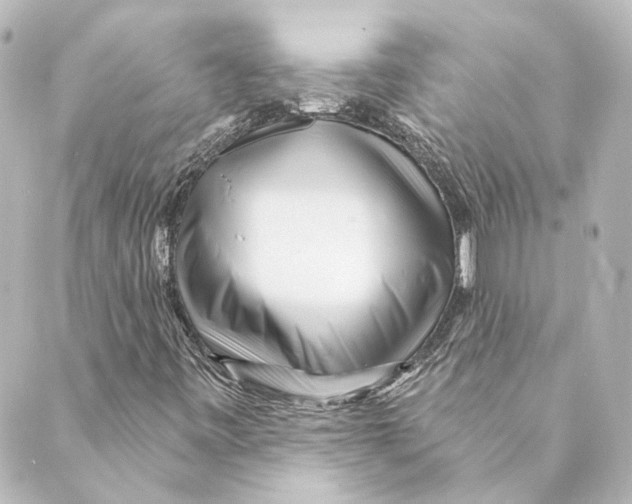 X0000088571443200706221239