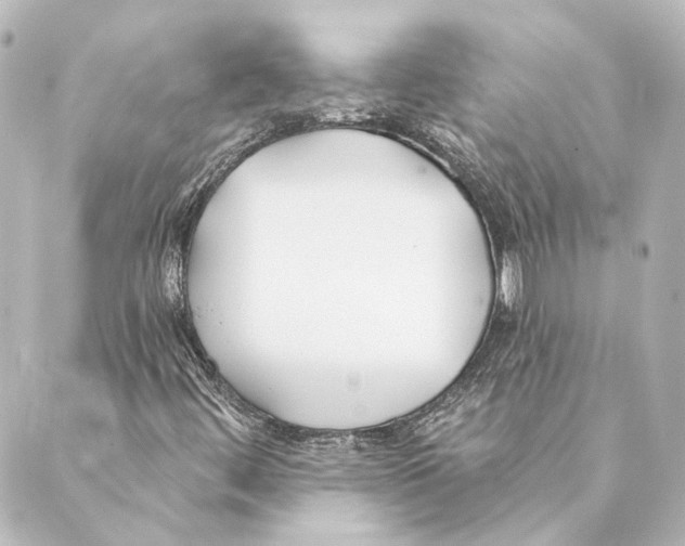 X0000088571444200706221239