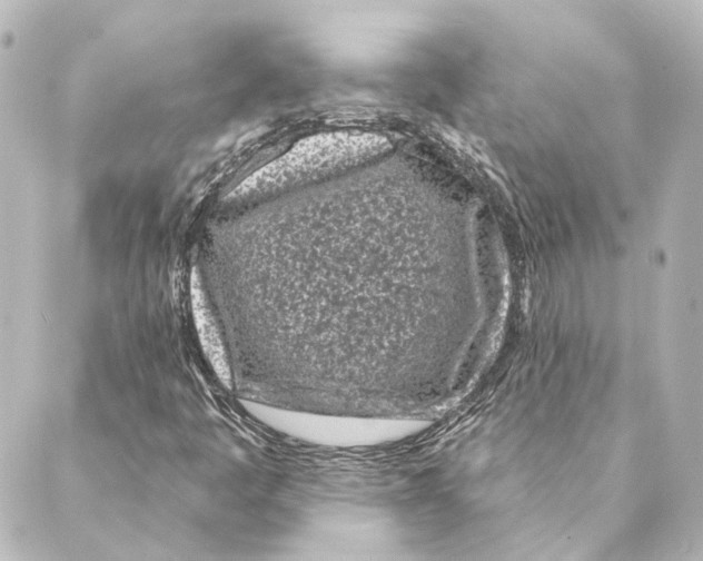 X0000088571445200706221239