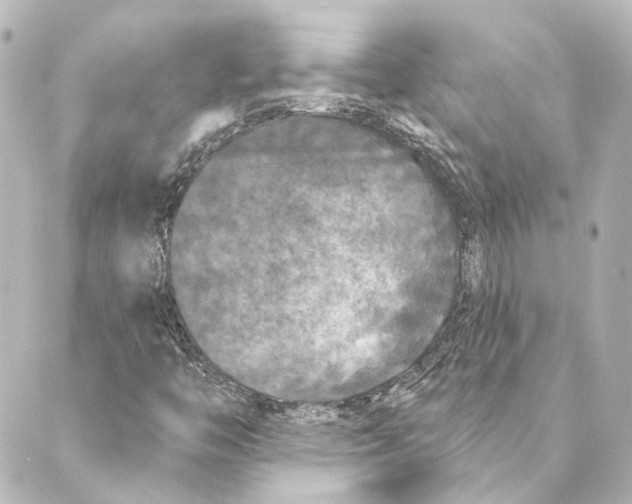 X0000088571446200706221239