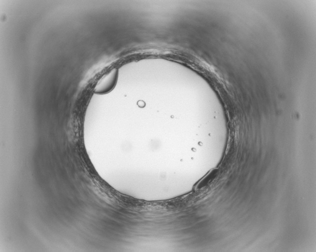 X0000088571448200706221239