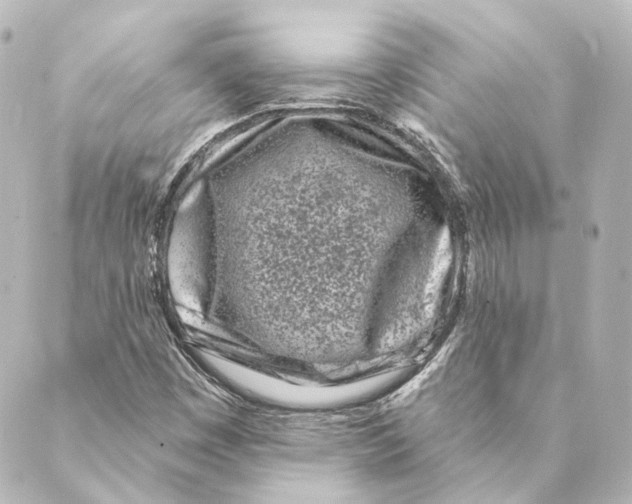 X0000088571449200706221239