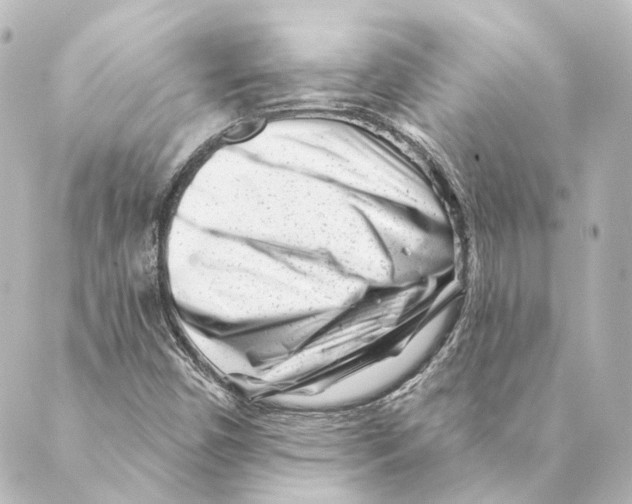 X0000088571450200706221239