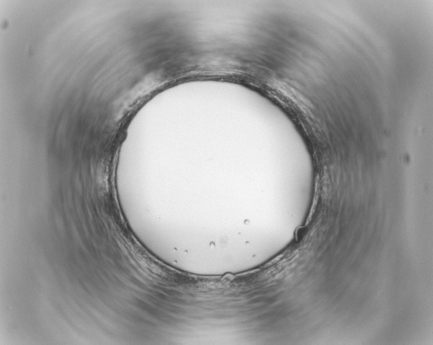 X0000088571451200706221239