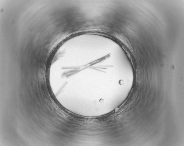 X0000088571452200706221239