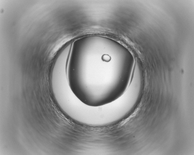 X0000088571453200706221239