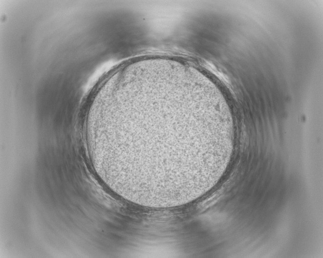 X0000088571454200706221239