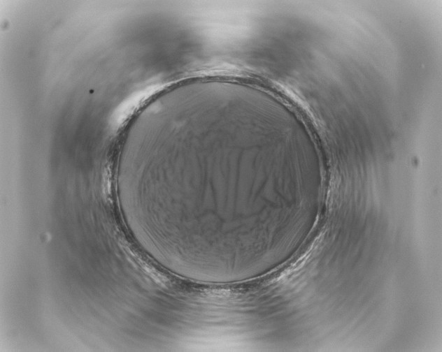 X0000088571455200706221239