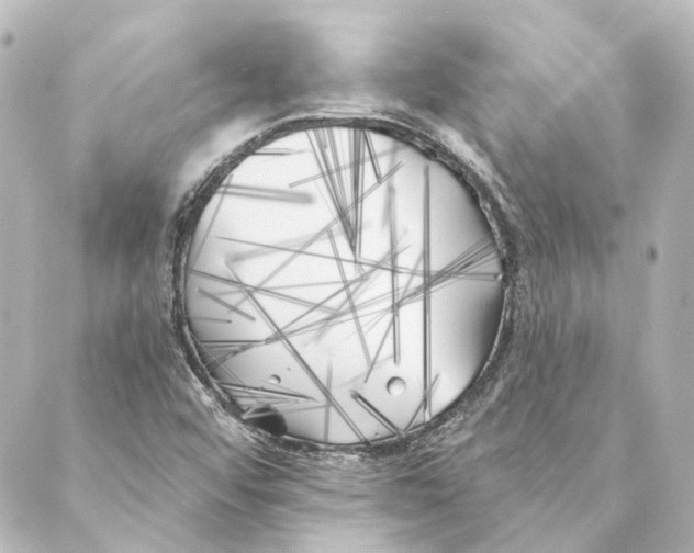 X0000088571456200706221239