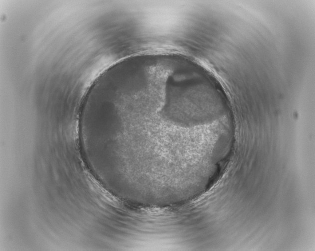 X0000088571459200706221239