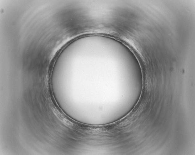 X0000088571460200706221239