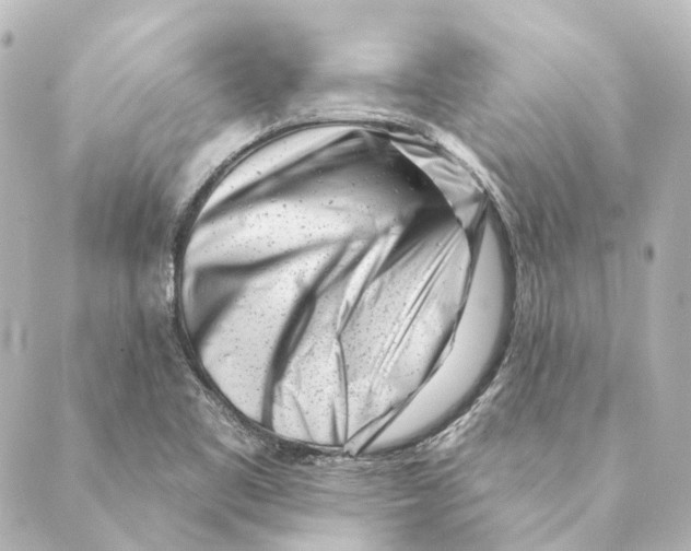 X0000088571461200706221239