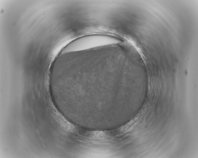 X0000088571463200706221239