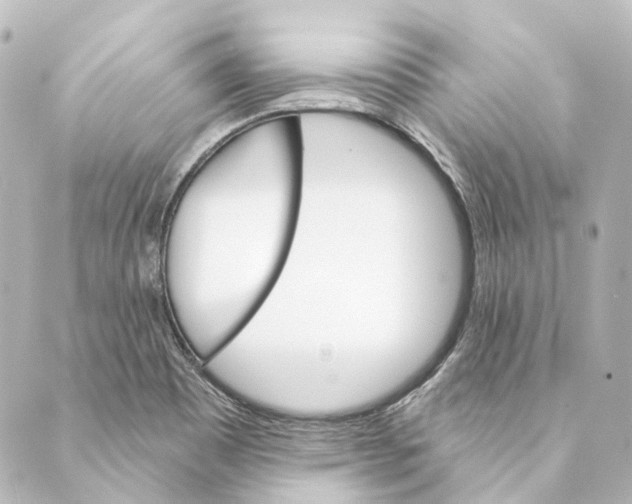 X0000088571465200706221239