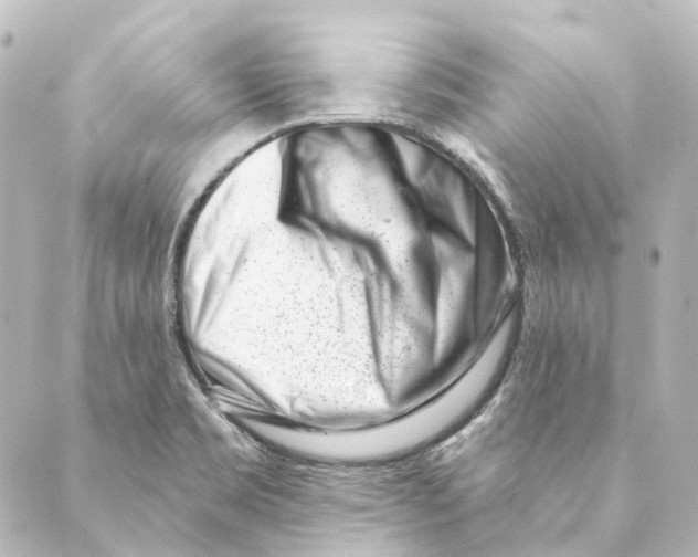 X0000088571469200706221239