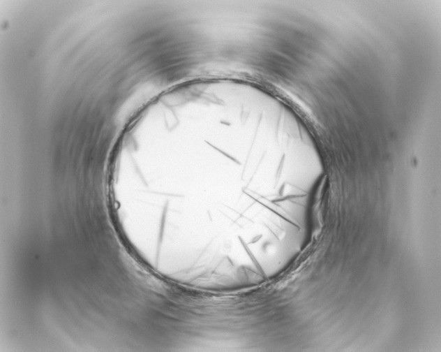 X0000088571471200706221239