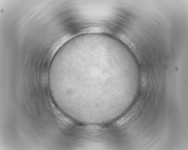 X0000088571473200706221239