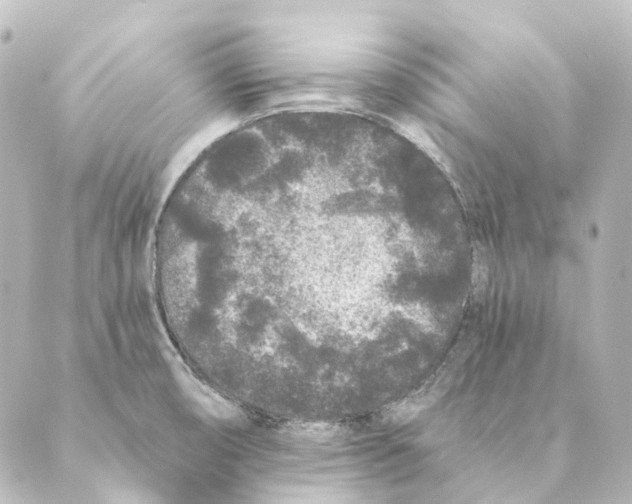 X0000088571474200706221239