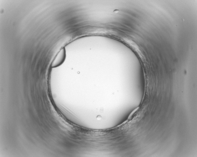 X0000088571475200706221239