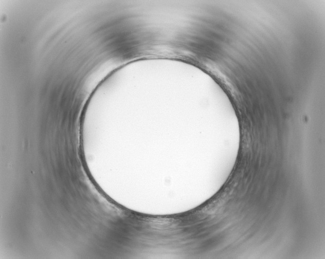 X0000088571479200706221239