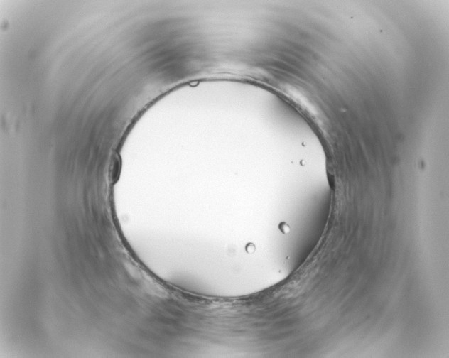 X0000088571480200706221239