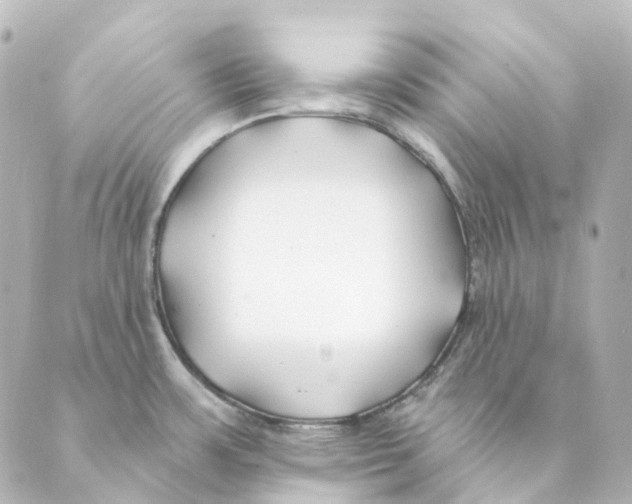 X0000088571483200706221239