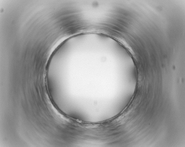 X0000088571484200706221239