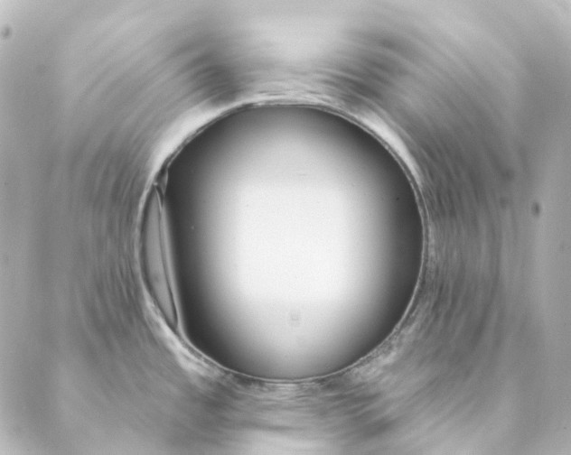 X0000088571485200706221239