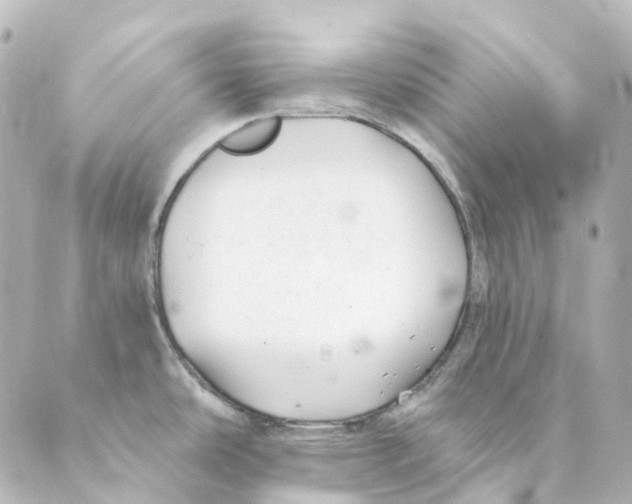 X0000088571486200706221239