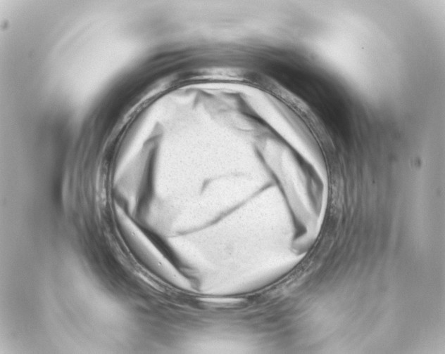 X0000088571487200706221239