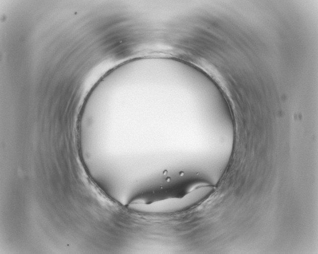 X0000088571488200706221239