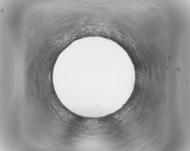 X0000088571489200706221238